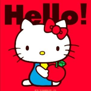 Hello Kitty case